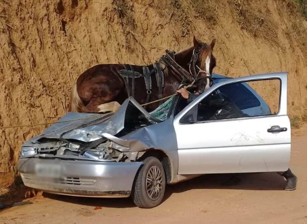 Acidente deixa 4 feridos e cavalo preso em cima de carro