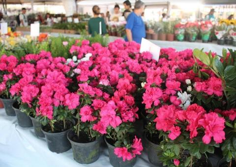 Shopping de Manaus recebe 1ª edição do Festival de  Flores de Holambra