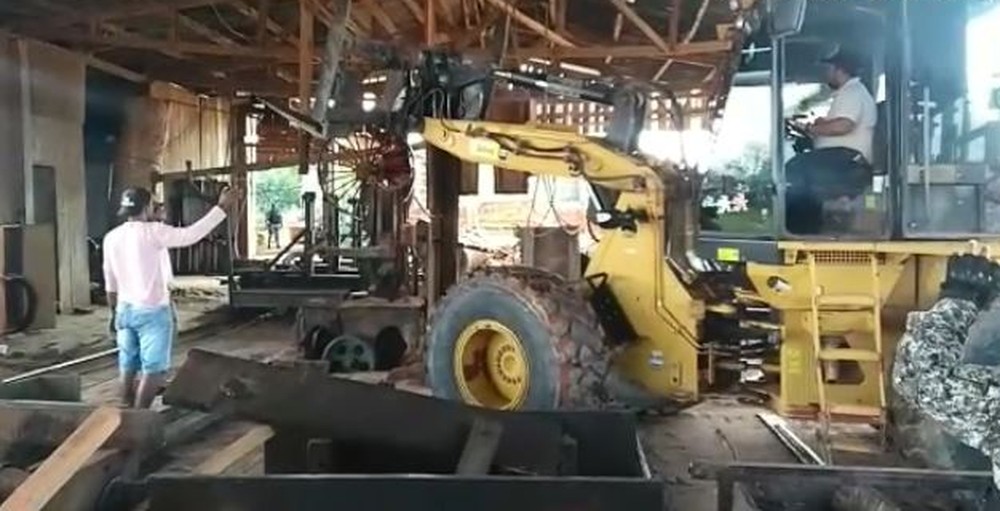 Ibama flagra serraria embargada praticando crime ambiental no Amazonas 