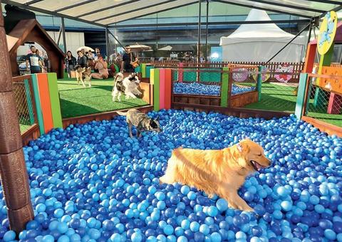 Shopping de Manaus terá espaço gratuito especial Turma da Mônica para pets e crianças