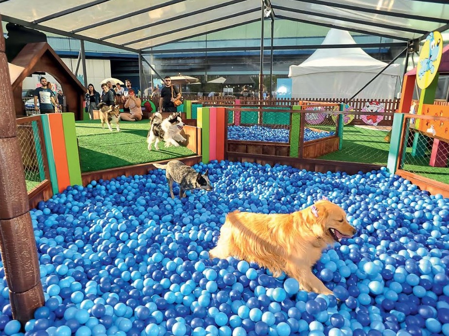 Shopping de Manaus terá espaço gratuito especial Turma da Mônica para pets e crianças