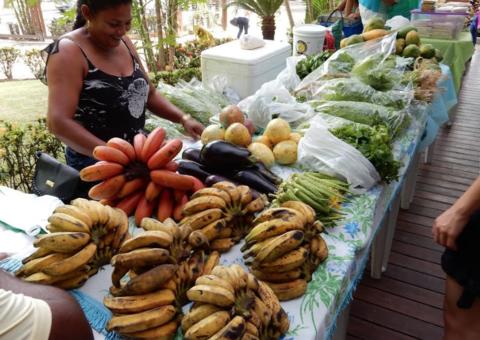 Feira da FAS com produtos orgânicos e curso gratuito acontece neste domingo