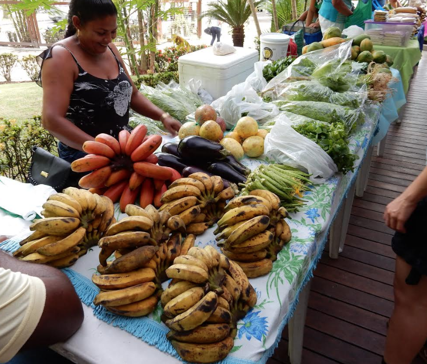 Feira da FAS com produtos orgânicos e curso gratuito acontece neste domingo