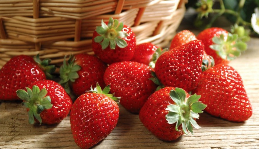 Chá de folha de morango combate diarreia 