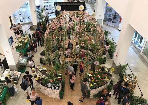 Festival de Flores de Holambra terá workshops sobre cultivo e cuidados de plantas