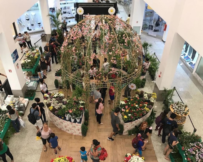 Festival de Flores de Holambra terá workshops sobre cultivo e cuidados de plantas