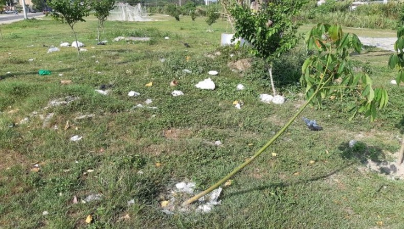 Mais de 100 mudas de árvores são destruídas em ato de vandalismo em Manaus