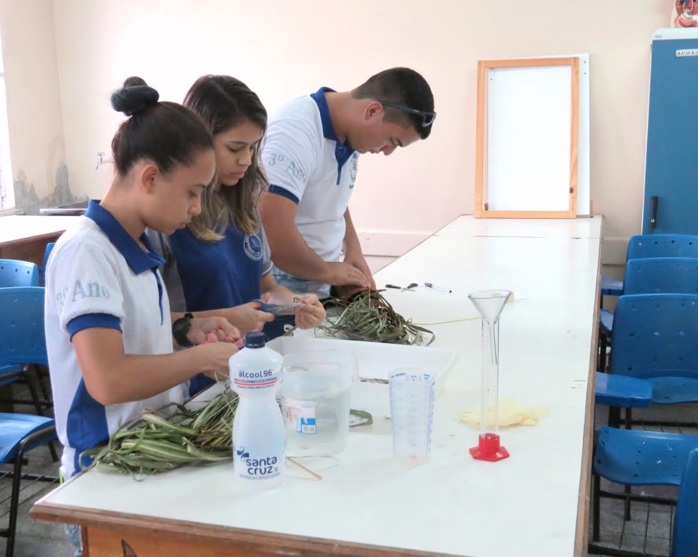 Estudantes produzem repelente natural contra mosquitos da dengue e malária