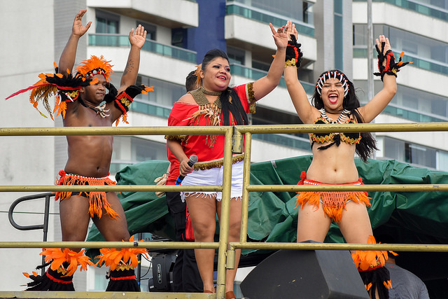 Boi Manaus: Artistas devem atentar a itens do portfólio