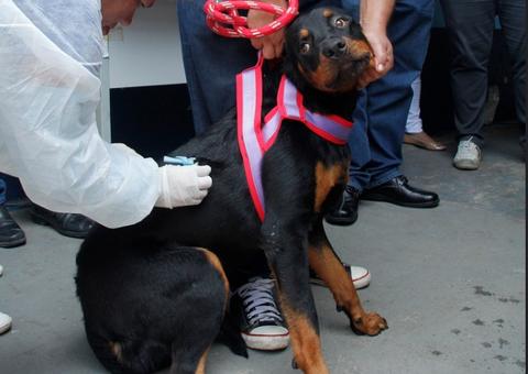 Prefeitura abre processo seletivo com 250 vagas para vacinadores e registradores