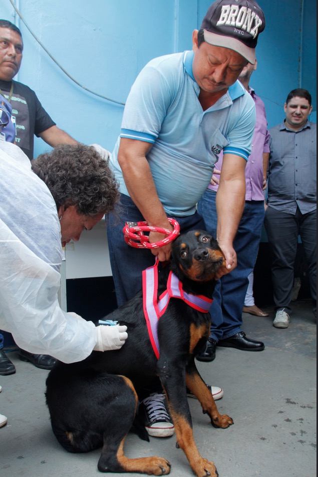 Prefeitura abre processo seletivo com 250 vagas para vacinadores e registradores