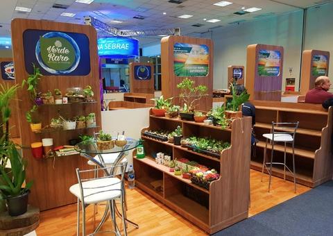 Sebrae realiza 2ª edição da Conferência Amazônica orientando empreendedores da região