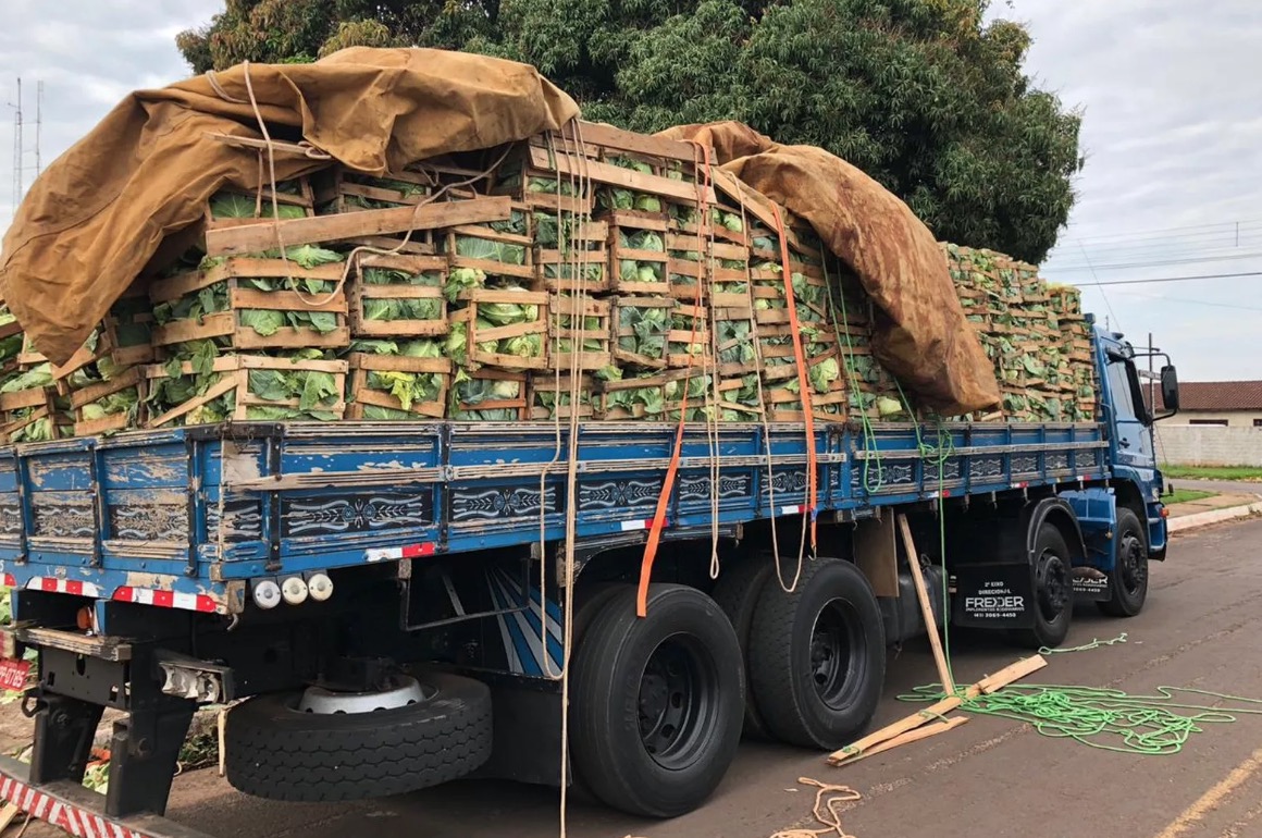 Motorista é preso ao tentar camuflar maconha em caixas de repolho