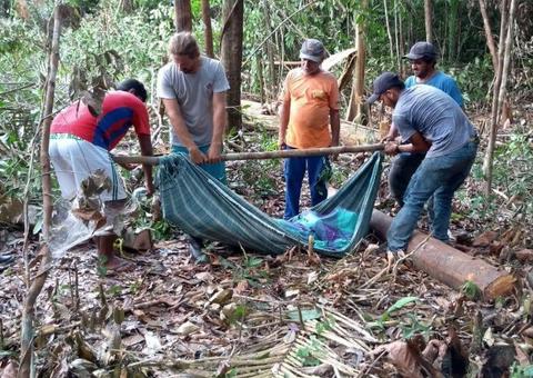 No Amazonas, agricultor morre ao ser atingido na cabeça enquanto tentava derrubar árvore