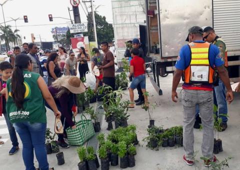 Pedágio ambiental distribui mudas frutíferas, ornamentais e medicinais em bairro de Manaus