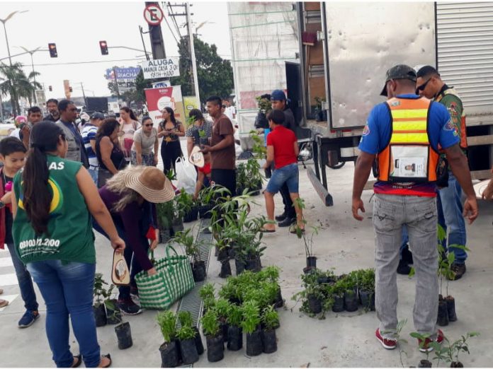 Pedágio ambiental distribui mudas frutíferas, ornamentais e medicinais em bairro de Manaus