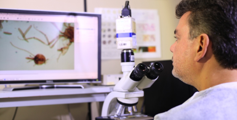 Fiocruz Amazônia abre inscrições para mestrado com 14 vagas