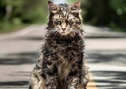 Remake de Cemitério Maldito ganha trailer arrepiante. Vem ver