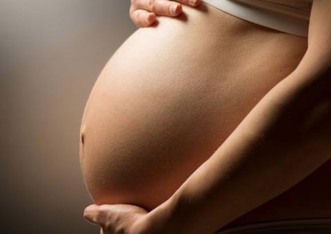 STF confirma estabilidade para trabalhadoras gestantes após reclamação de empresa