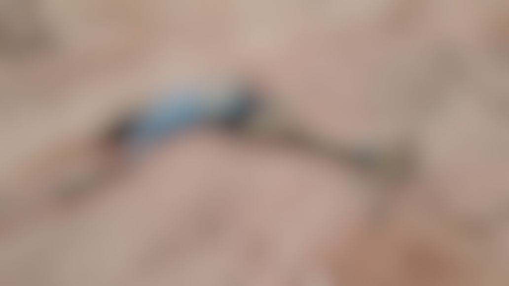 Em Manaus, corpo de homem é encontrado com olhos perfurados e pés amarrados