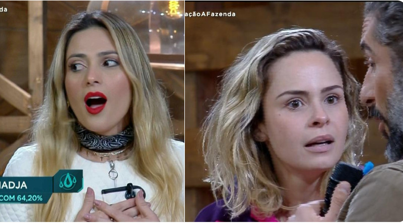 Após ser surpreendida com eliminação, Ana Paula Renalt deseja que audiência 'afunde'