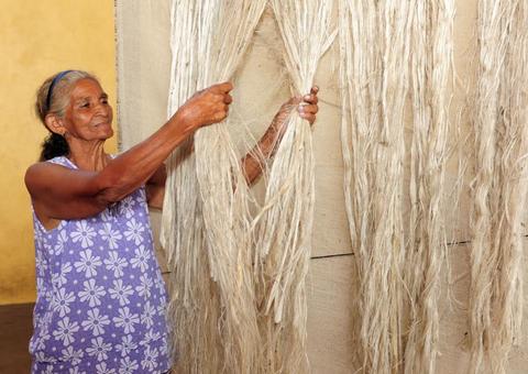 Agência libera mais de R$ 700 mil para pagamento de produtores de malva e juta no Amazonas