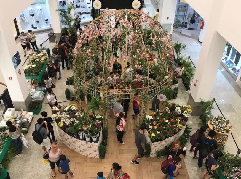 Festival de Flores de Holambra no Amazonas Shopping encerra neste sábado