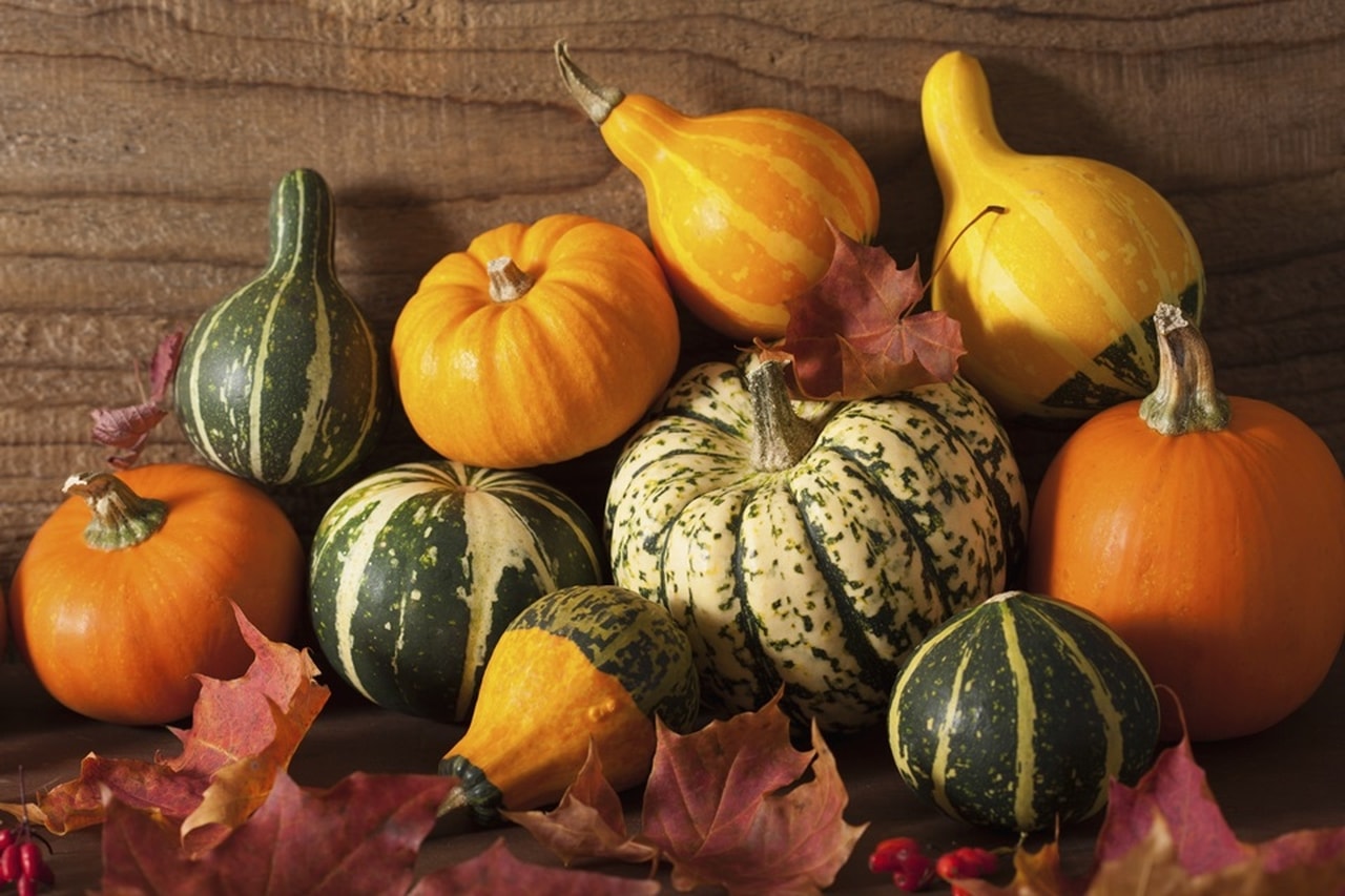 Consumir abóbora protege seu corpo de células cancerígenas