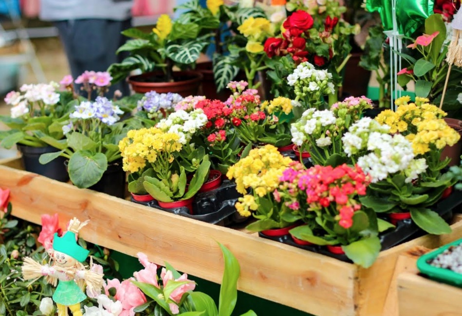 Sexta edição da Feira da FAS ocorre no próximo domingo