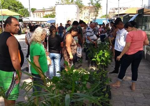 Pedágio Ambiental distribui mudas em bairro de Manaus nesta quarta-feira