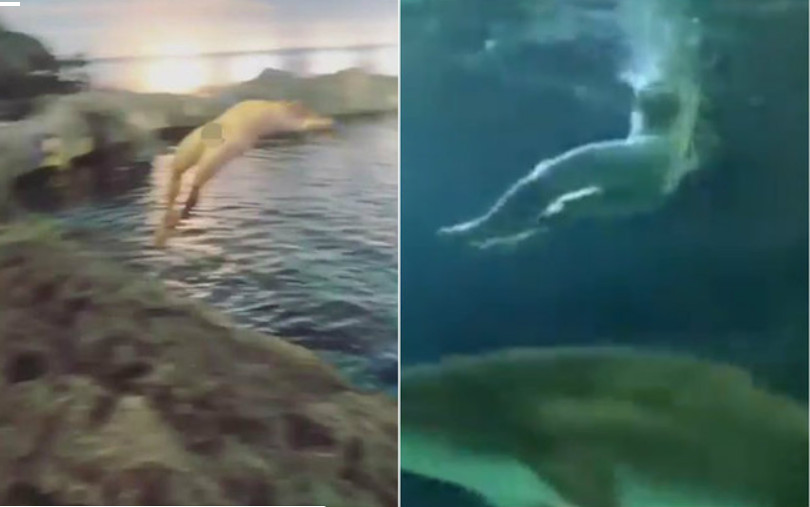 Homem mergulha pelado em aquário e nada com tubarões 