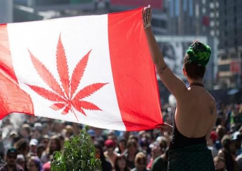 Maconha passa a ser legal no Canadá a partir desta quarta-feira