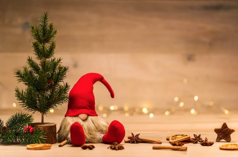 Oficina Natal Sustentável está com inscrições abertas