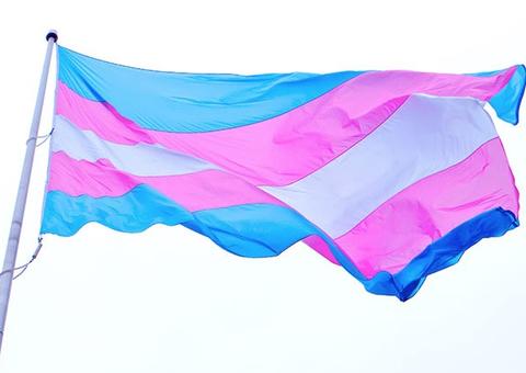 Em decisão histórica, Parlamento do Uruguai aprova direitos para transexuais