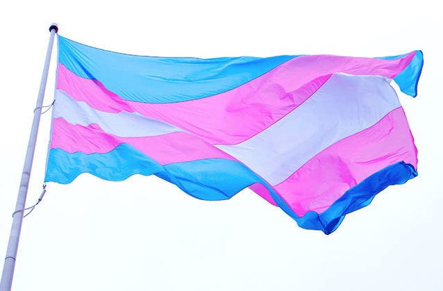 Em decisão histórica, Parlamento do Uruguai aprova direitos para transexuais