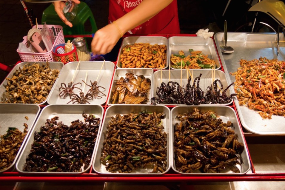 O que vamos comer no futuro? Insetos, tesouros do fundo do mar e alimentos sintéticos são algumas soluções