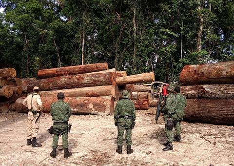 Combate ao desmatamento soma mais de R$ 9 milhões em multas no Amazonas