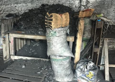 Em Manaus, mais de 2 toneladas de carvão são apreendidas em depósito irregular