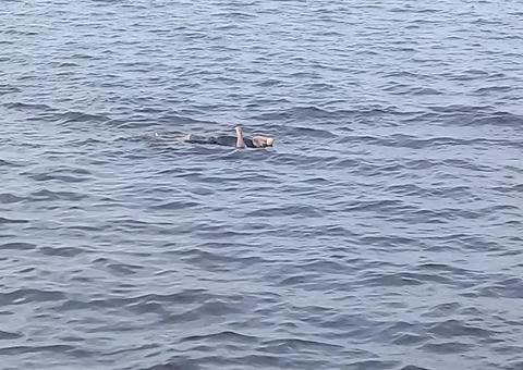 Em Manaus, corpo de homem é encontrado boiando no rio negro