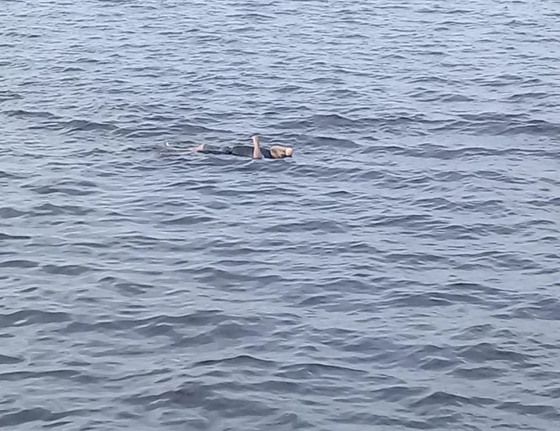 Em Manaus, corpo de homem é encontrado boiando no rio negro