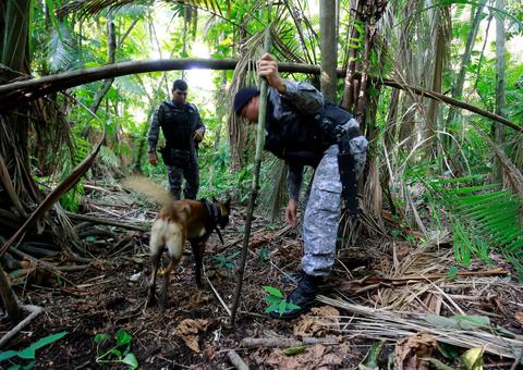 Tribunal do Crime: Polícia encontra local onde traficantes matam e enterram rivais em Manaus