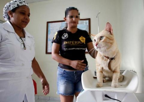 Prefeitura divulga resultado da avaliação de títulos e experiência de PSS com 250 vagas