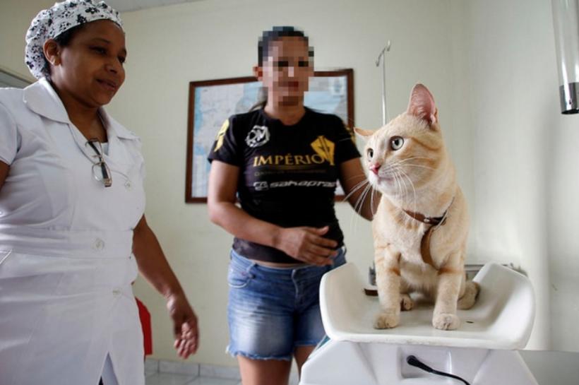 Prefeitura divulga resultado da avaliação de títulos e experiência de PSS com 250 vagas