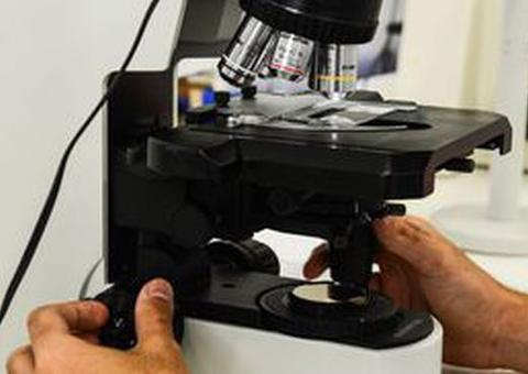 Salmonella tem resistência a diferentes antibióticos, indica pesquisa