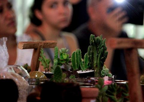 Minicurso sobre cultivo de cactos e suculentas será repetido em novembro