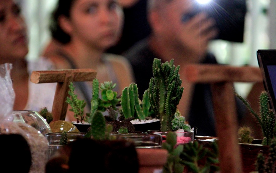 Minicurso sobre cultivo de cactos e suculentas será repetido em novembro