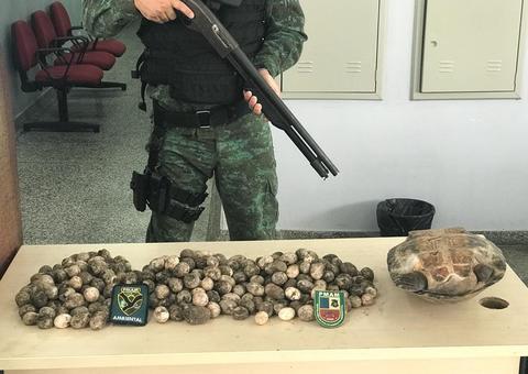 Em Manaus, mulher é presa com quase 300 ovos de quelônio escondidos em casa