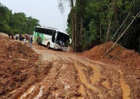 Comissão do Senado aciona TCU para agilizar licenciamento da BR-319