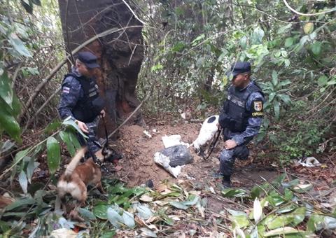 Decapitado, cadáver é encontrado em área de mata em Manaus