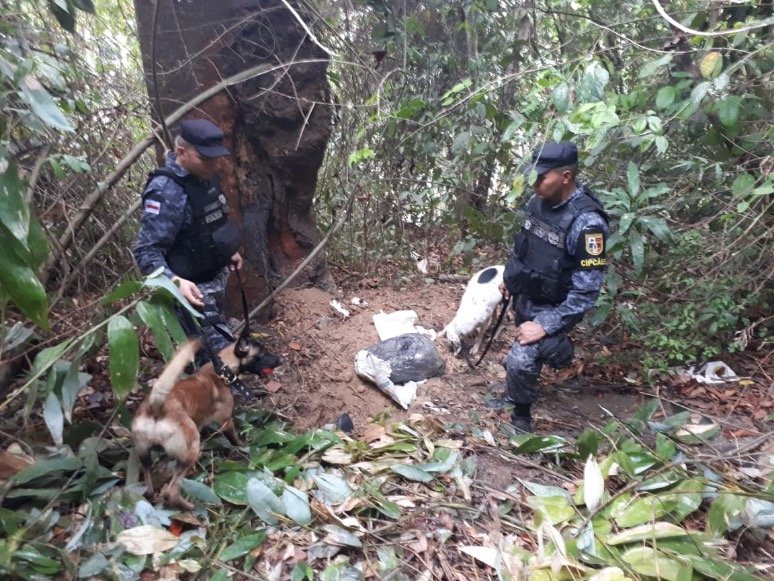 Decapitado, cadáver é encontrado em área de mata em Manaus